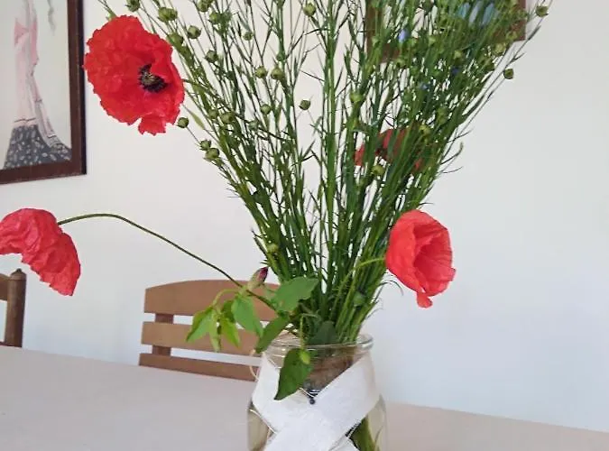 Le Sechoir Dantan 3* Doudeville