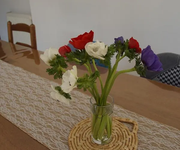 Guest house Le Sechoir Dantan Doudeville